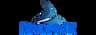Bluelock logo